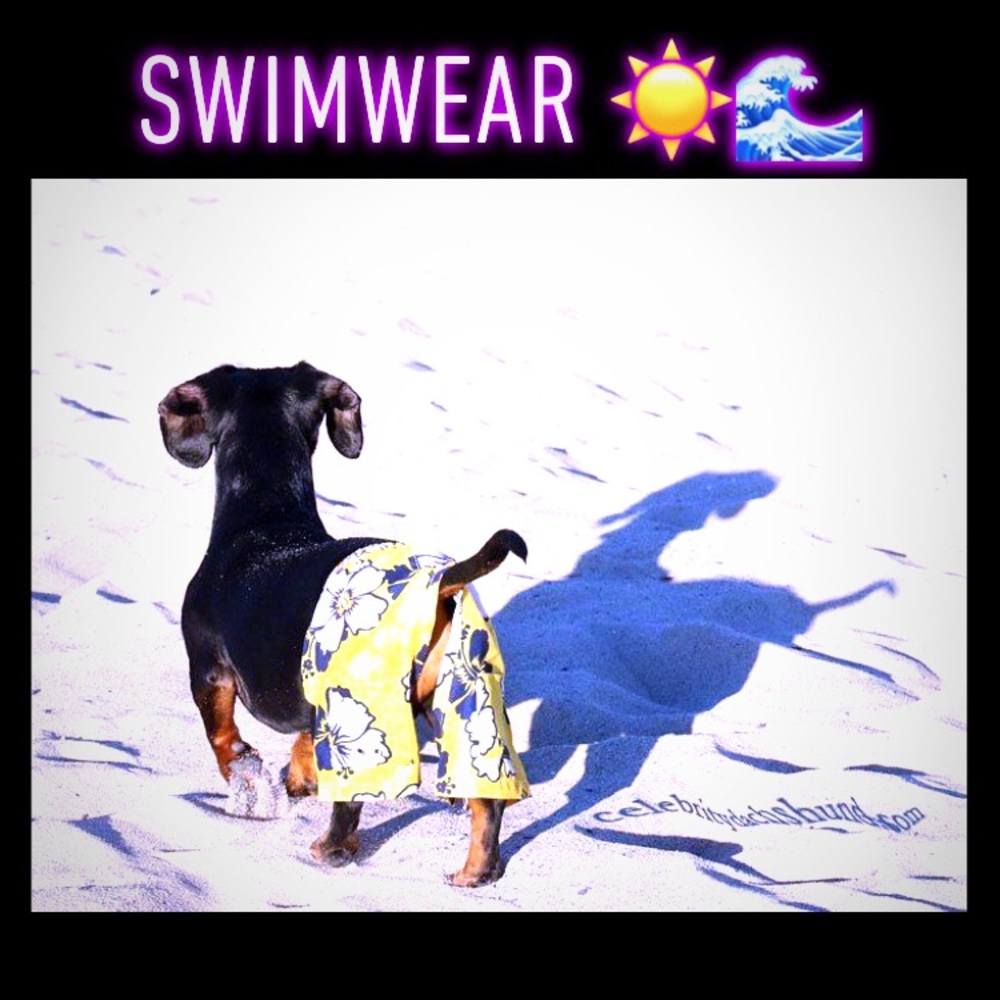 Swimwear